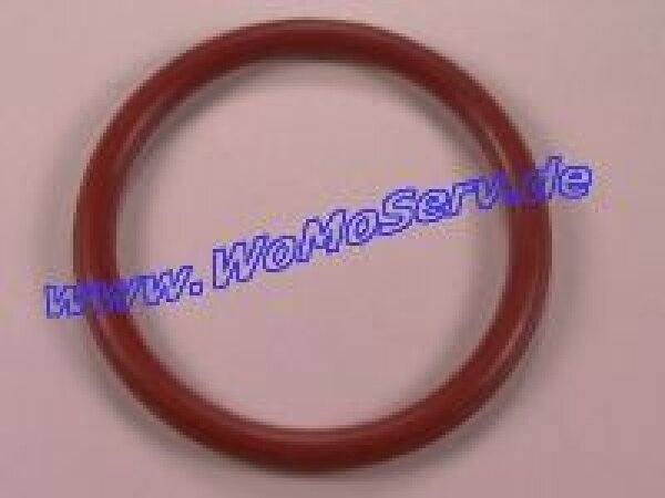O-Ring 22 x 2 mm für Trumatic E 2400 ab Bj. 1993