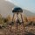 Carri Chef 40 BBQ/Grill2Braai 50 mbar