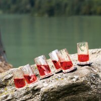 Magnet-Kunststoffgläser Schnapsglas 40 ml, 2er-Set