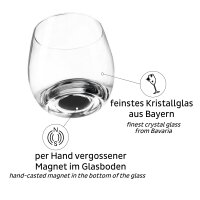 Magnet-Kristallgläser Whisky 250 ml, 2er-Set