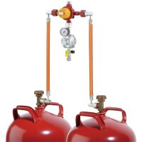 2-Flaschenanlage 1,5 kg/h mit automatischem...