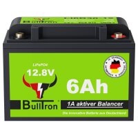 Lithium Batterie für Clesana C1 inkl. Befestigungsmaterial