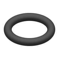 O-Ring für AKS 3004
