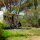 Markise CaravanStore EVO 200, Royal Blue