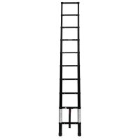 Teleskopleiter inkl. Leitertec System, 290 cm