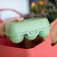 Eierbox mini EGGS TO GO grün