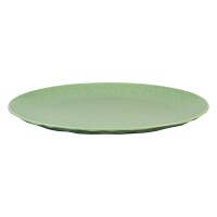 Flacher Teller CLUB PLATE 260 4er Set, grün