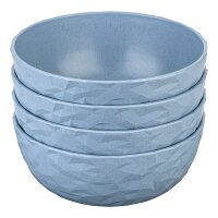 Schale CLUB BOWL 4er Set, blau