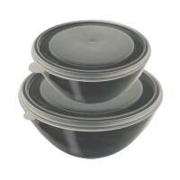 Multischüsselset 2GO 2er Set, 950 ml und 1.500 ml