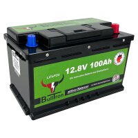 Lithium Batterien Standard 100 Ah inkl. Smart BMS