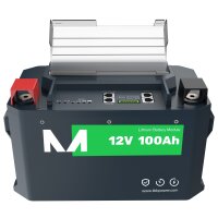 Lithium Batterie M12-100/P mit Heizung LiFePO4 105 Ah