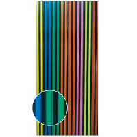 Streifenvorhang bunt, schwarz 90 x 200 cm