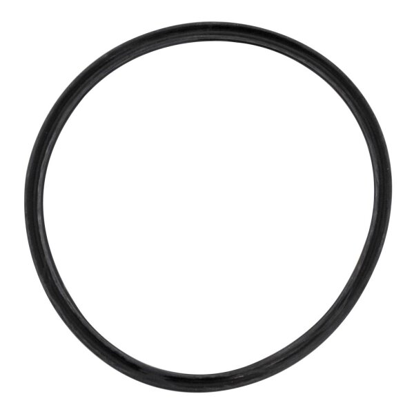 Dichtung Kassette (unten) für Toilette CT 3000