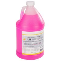 Frostschutzmittel Winter Ban 3,78 Liter