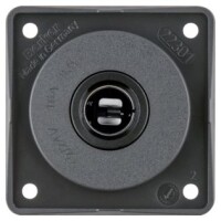 Powersteckdose 12 V für Normstecker anthrazit,...