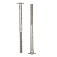 Schraube M6 x 95 Edelstahl 2 Stück, für Carry Bike