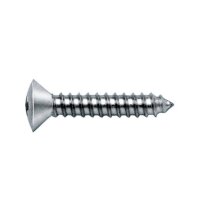 Blechschraube 4.2 x 16 mm DIN 7983, 25er