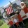 Carry Bike Caravan Simple Plus 200